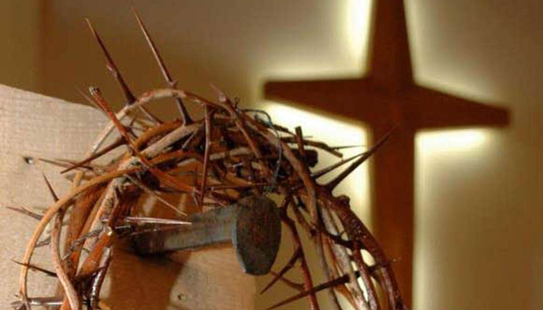 Bible Fellowship Church